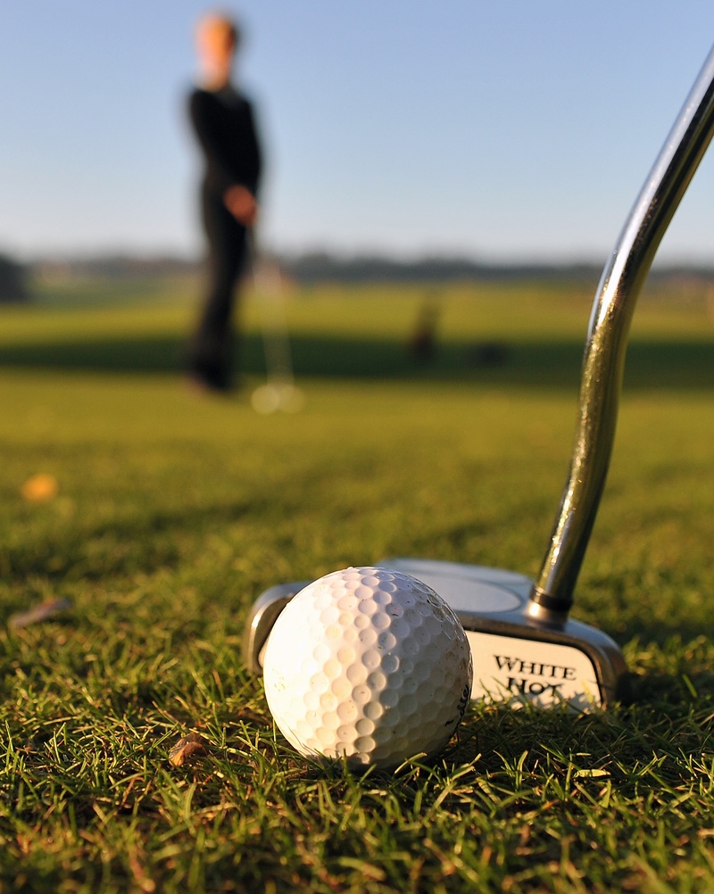 men, focus on foreground, iron, plant, golf course, playing, niederbayern, sportsman, sp4ort, ball, taking a shot - sport, nature, golf, power stones, green - golf course