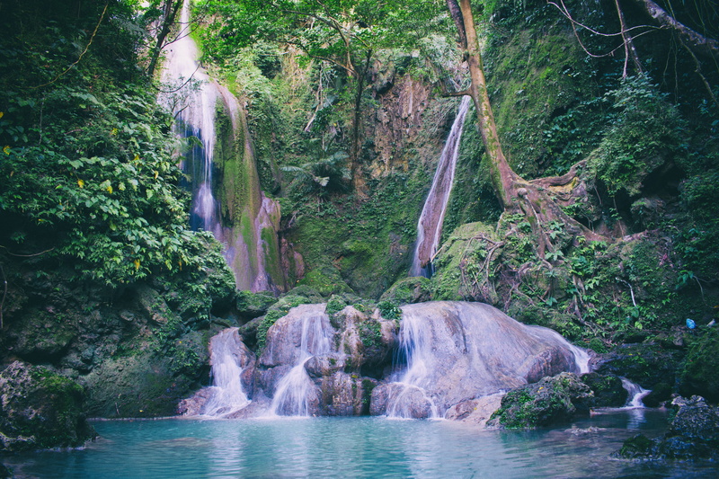 rainforest, beauty in nature, rocks, leaves, day, land, solid, green, photography, no people, waterfront, flow, flowing, plants, nature, outdoors, scenics - nature