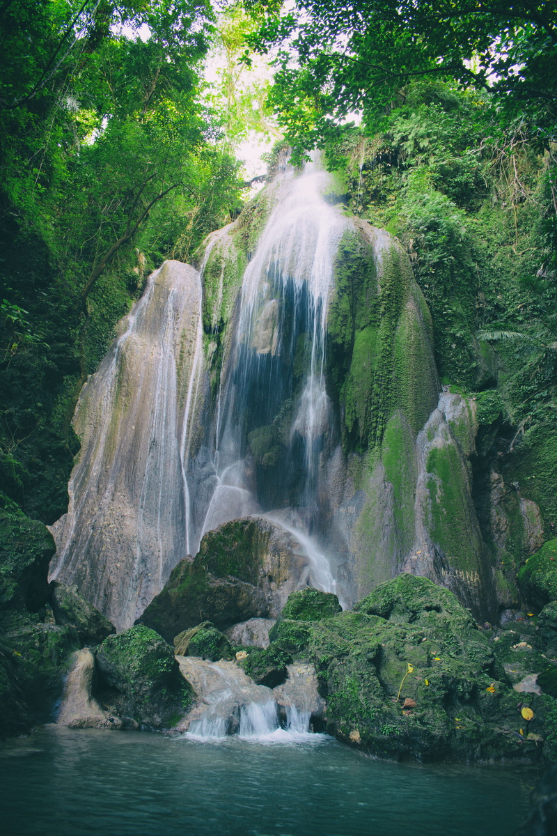 rocks, plant, falling water, rock - object, rock formation, beauty in nature, water, scenics - nature, nature, environment, solid, stones, lapse, time-lapse