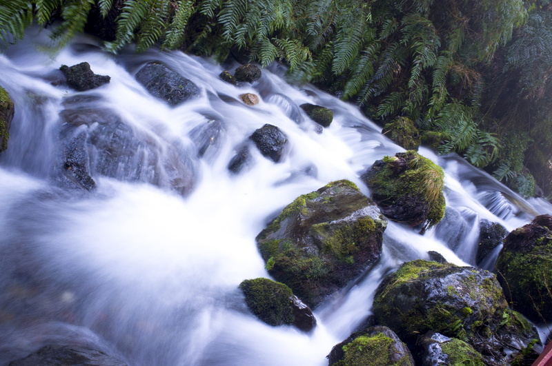 stream, rock, green plants, long Exposure, forest, no People, plant, nature, tree, rainforest, motion, land, scenics, power in nature, waterfalls, aerial
