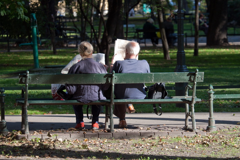 park Bench, plant, seat, tree, park, senior men, people, green, grandchild, bench seat, newspapers, le monde, positive emotion, french tourists, senior Adult