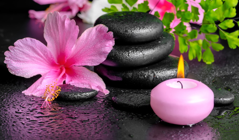 Man Made, Hibiscus, Candle, Stone, 4K, Flower, Still Life, Spa