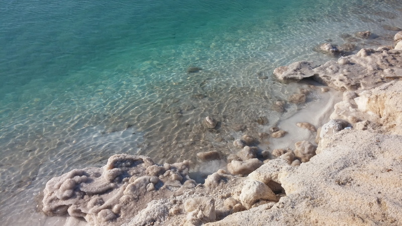 rock, land, nature, no people, marine, underwater, dead sea, sea, mineral, sand, high angle view, beach, sea life, water, 4K, salt, beauty in nature, animals in the wild