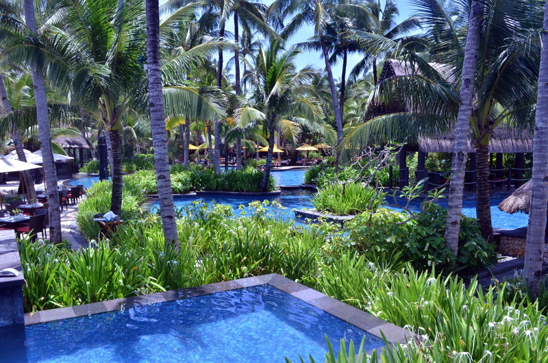 plant, ornamental garden, lake, beauty in nature, trees, outdoors, scenics - nature, travel, break, swimming pool, tranquility, reflection, coconut palm tree