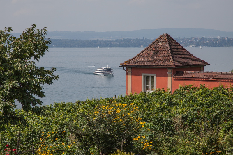 no people, city, summer, built structure, water, lake constance, mountain, plant, building exterior, flower, flowering plant, wine growing area, outdoors
