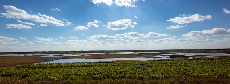 natural, outdoors, day, travel, wetlands, the scenery, blue, cloud, wilderness, nature, no people, swamp, resorts, serenity, plant, tranquil scene, grass