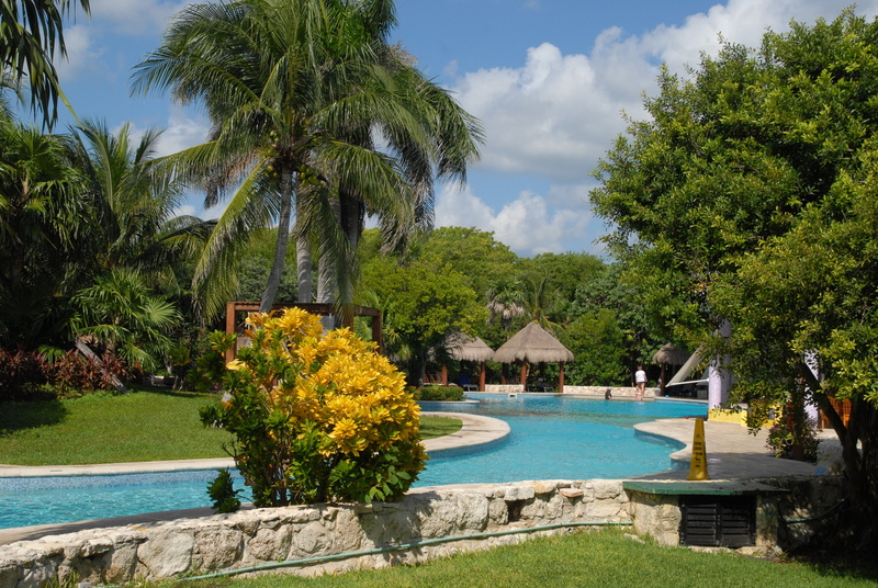 outdoors, caribbean, tropics, sun, cottage, holiday, sunny, warm, holiday paradise, paradise, no people, plant, green color, dream holiday, surrounded