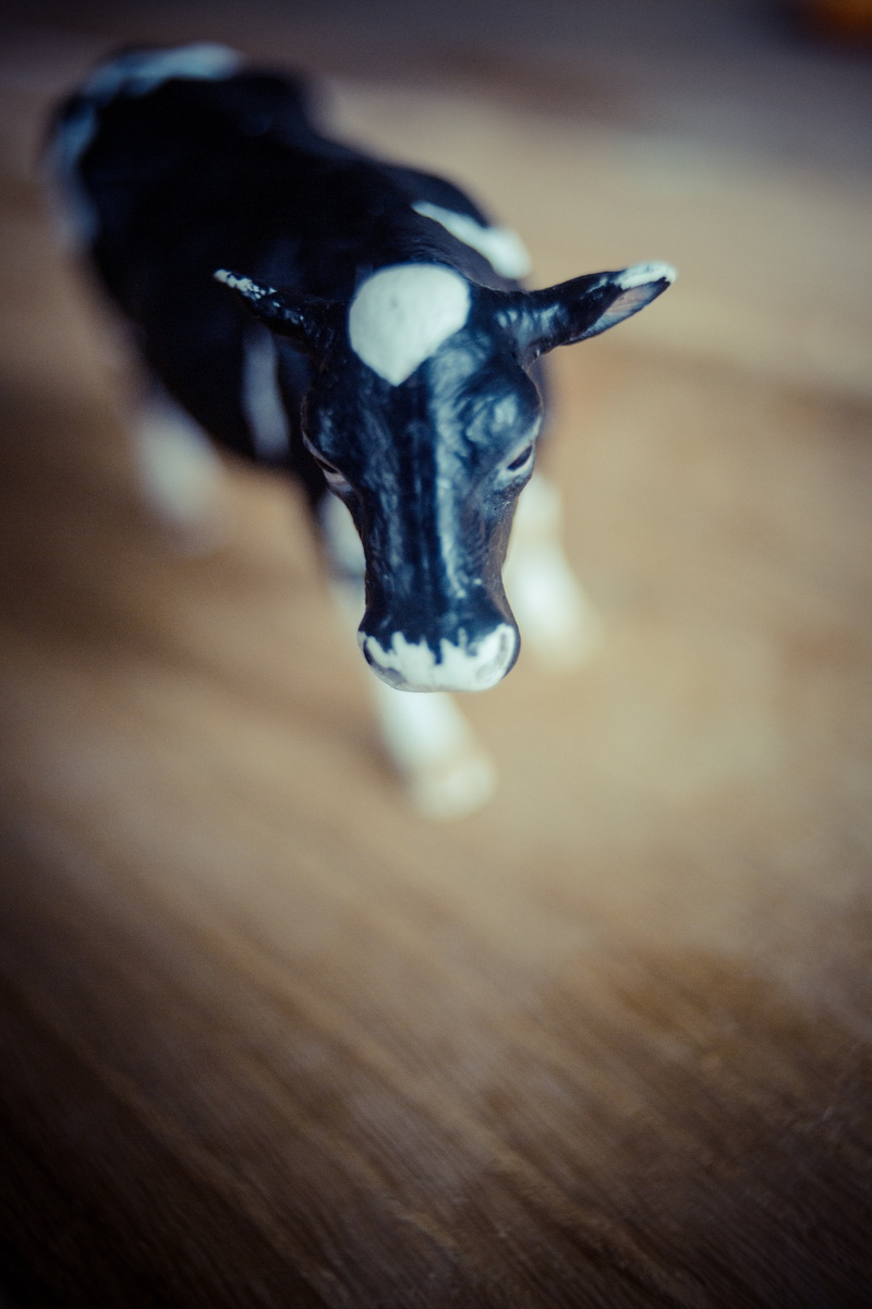 calm, childcare, wood - material, animal representation, animals in the wild, children, crash, art and craft, early infantile, one animal, day care, culture