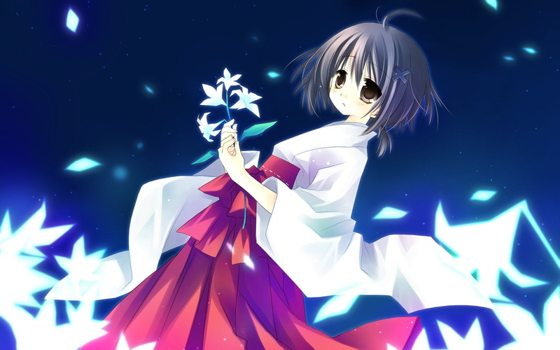 1080P, Anime, Shrine Maiden