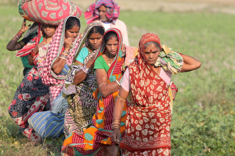 men, Odisha, looking at camera, india, clothing, field, harvest, cultural, Orissa, holding, males, Tribal, asian, traditional clothing, lifestyle, happiness