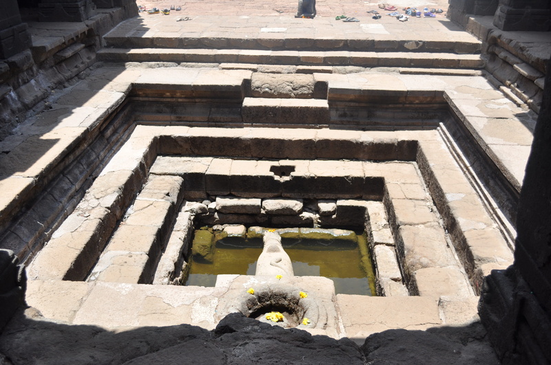 cow, building exterior, religion, belief, day, the past, built structure, travel, no people, sunlight, spirituality, india, water, steps and staircases