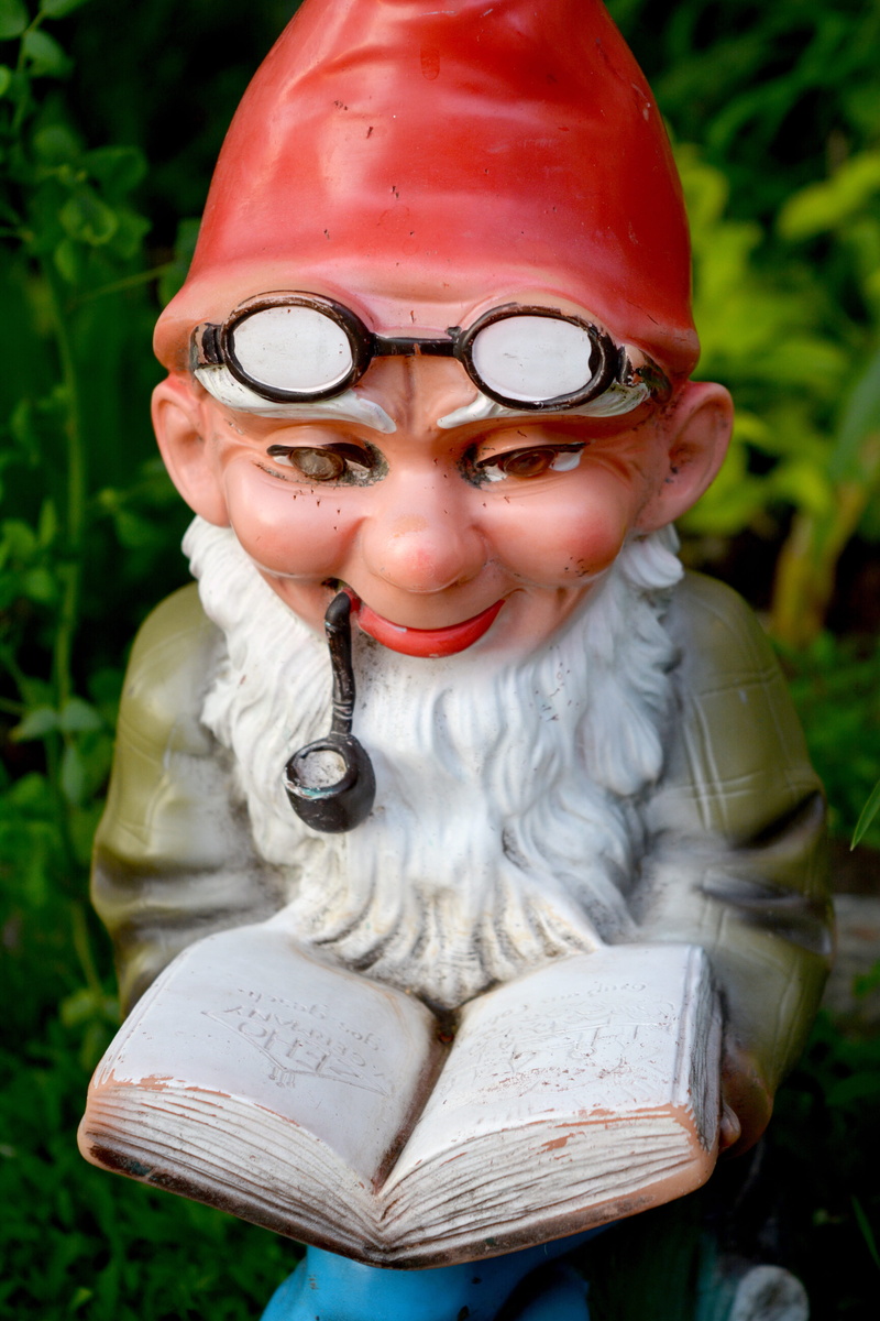 representation, child, real people, innocence, Pipa, Glasses, gnome, eyeglasses, smiling, childhood, book, plastic, children only, Reading, women, outdoors