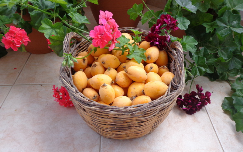 wicker, flowering plant, flower, leaf, wellbeing, food, fruit, high angle view, food and drink, abundance, variation, flowers, freshness, ripe, plant, plant part