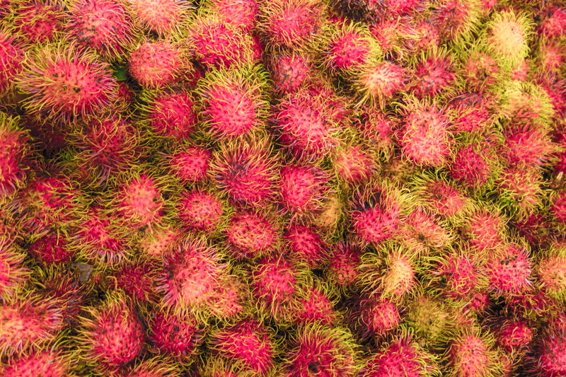 backgrounds, fruit, beauty in nature, pink color, plant, colorful, ripe, malaysia, exotic, day, red, freshness, tropical, natural, food and drink, delicious