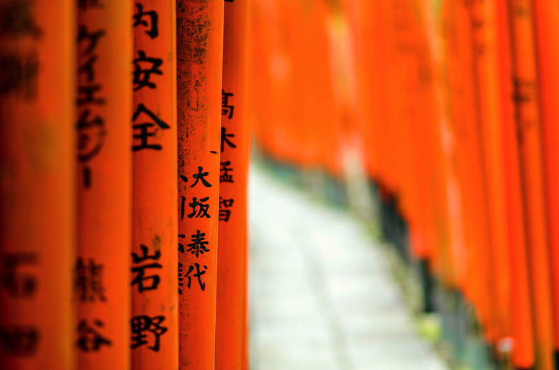 script, spirituality, communication, in a row, japan, tourism, place of worship, path, spiritual, 4K, japon, where are we ?, travel, architecture, kyoto