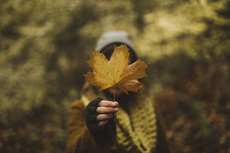 yellow, human limb, 4K, finger, maple leaf, leaf, holding, focus on foreground, leaves, obscured face, lifestyles, Earth, human hand, nature, unrecognizable person