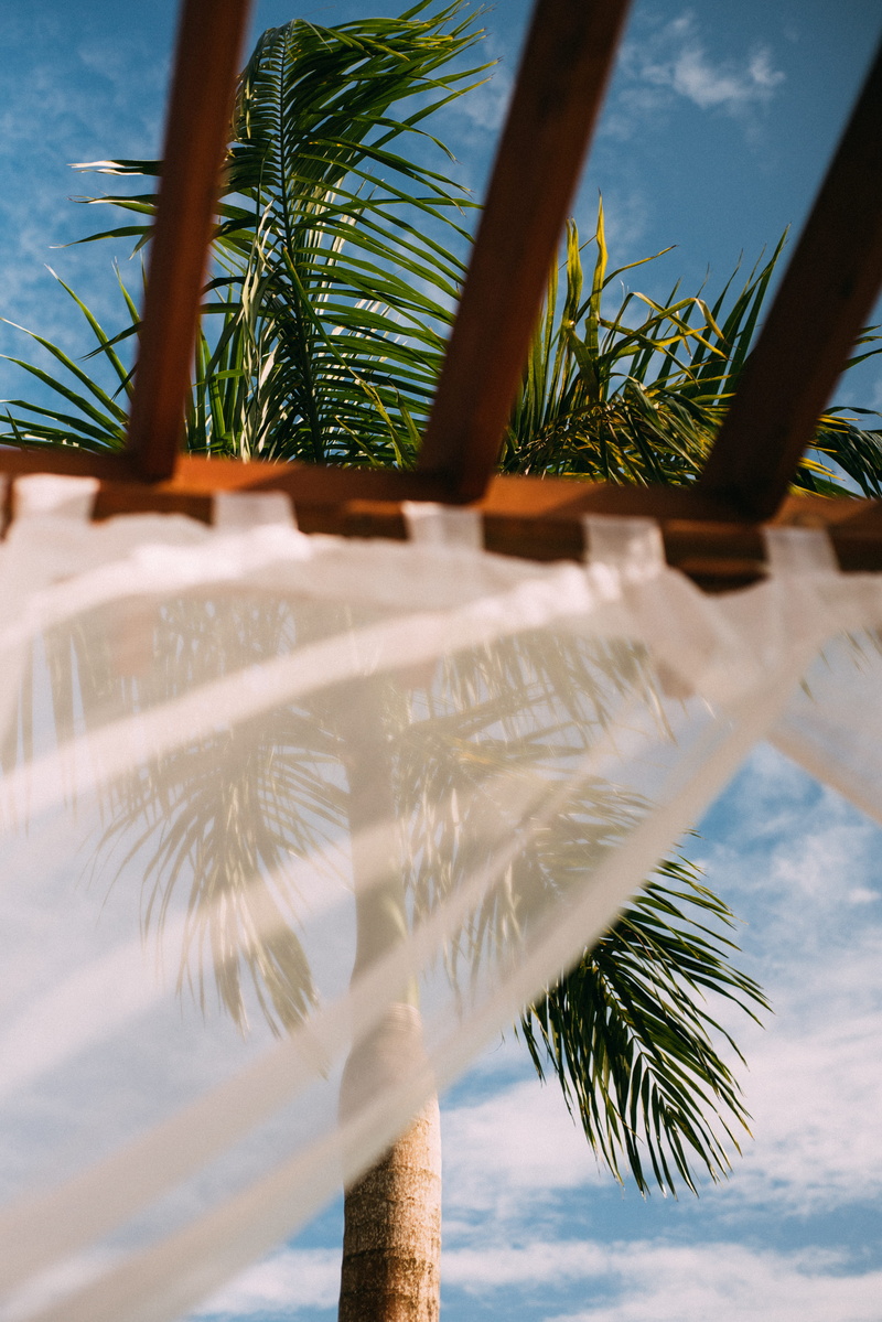 travel, nature, leisure, tree, blue sky, green, low angle view, cabana, summer, palm tree, sunlight, 5K, leaf, sun, coconut palm tree, tropical tree, plant