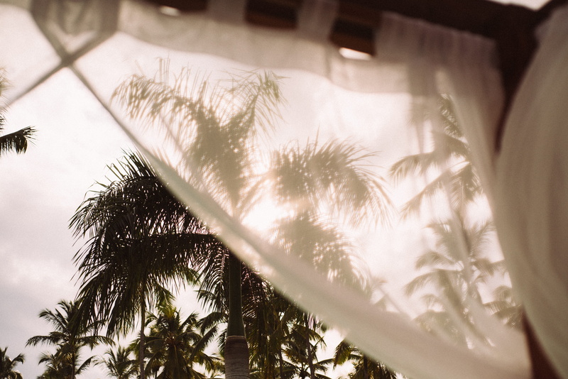 windy, blue sky, tree, beach, relax, summer, tropical, leaf, cabana, 5K, selective focus, daylight, sunlight, mesh curtain, palm tree, travel, low angle view