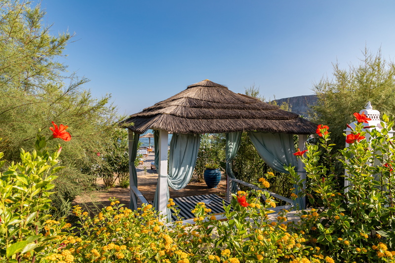 cottage, nature, no people, thatched roof, cabana, tranquility, tourism, travel destinations, building, holiday, plant, building exterior, blue, outdoors
