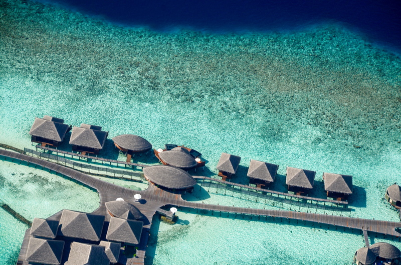 outdoors, high angle shot, sunlight, bird, eye, pool, turquoise colored, fun, sea life, swimming pool, water, drone shot, high angle view, view, HD