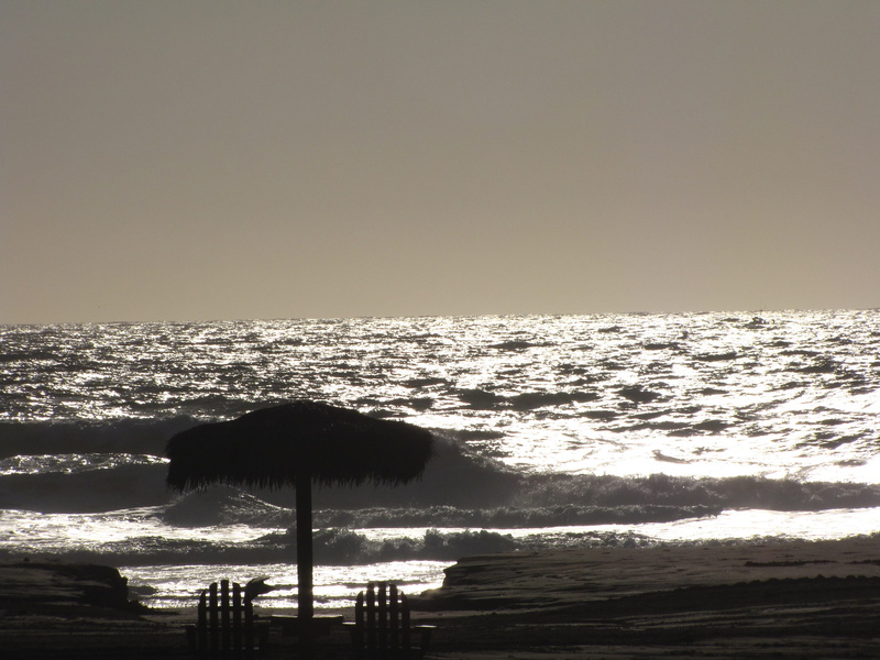 nature, Cabana, horizon over water, copy space, vacation, beauty in nature, wave, day, sky, Water, Scenery, tranquility, outdoors, clear sky, animals in the wild