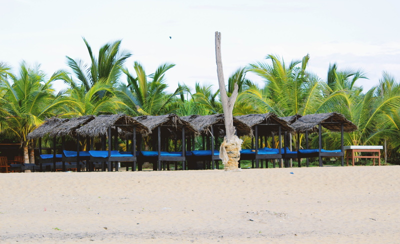 tourism, ocean, sunny, no people, outdoors, thatched roof, growth, nature, tranquility, cabana, palm, tropical climate, landscape, palm tree, plant, beauty in nature