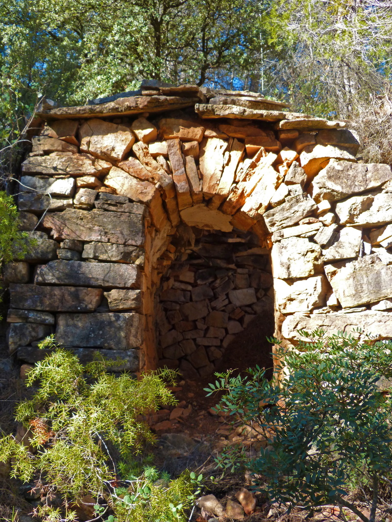 no people, low angle view, old, nature, 4K, built structure, Volta, stone material, sunlight, building, forest, Cabana, plant, day, well, wood, wall, Priorat