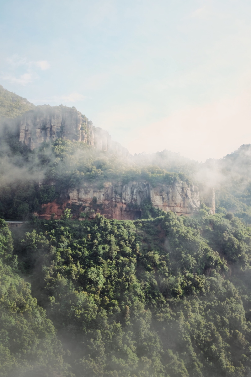 sky, tree, nature, mist, scenics - nature, mountains, beauty in nature, formentera, forest, spain, growth, barcelona, outdoors, tunnel, idyllic, fog, 4K