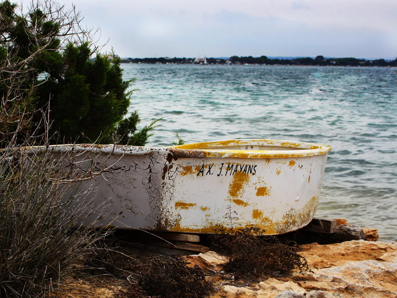 day, sunlight, transportation, plant, sea, nautical vessel, abandoned, relaxation, tree, island, outdoors, sky, rusty, land, landscape, mode of transportation