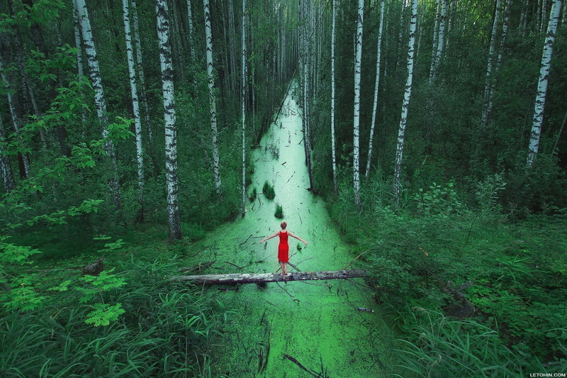 trees, women, 720P, red dress, dress, red, nature, grass