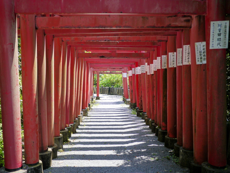 4K, belief, footpath, place of worship, architecture, repetition, road, in a row, no people, religion, empty, colonnade, day, takahashi inari, direction
