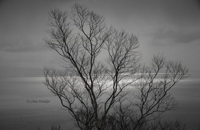 sky, Alpha, non-urban scene, fog, cloud - sky, mirrorless, 1080P, Landscape, nature, plant, blackandwhite, hokkaido, tranquility, white, rausu, scenics - nature