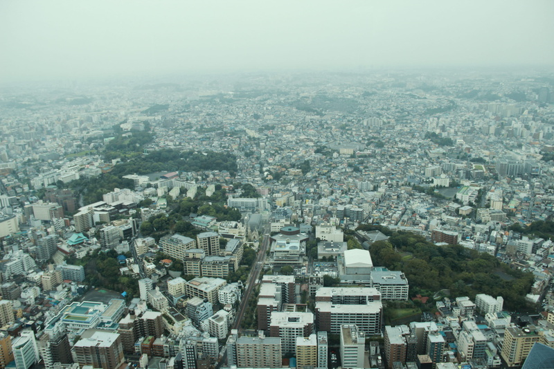 travel destinations, landscape, architecture, yokohama, high angle view, nature, scenery, crowded, neighborhood, office building, building, 2K, urban sprawl