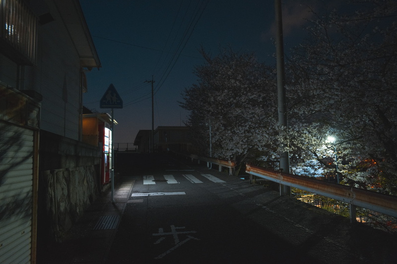 Nagasaki, urban, night, 2K, Japan, street, cherry blossom, Asia