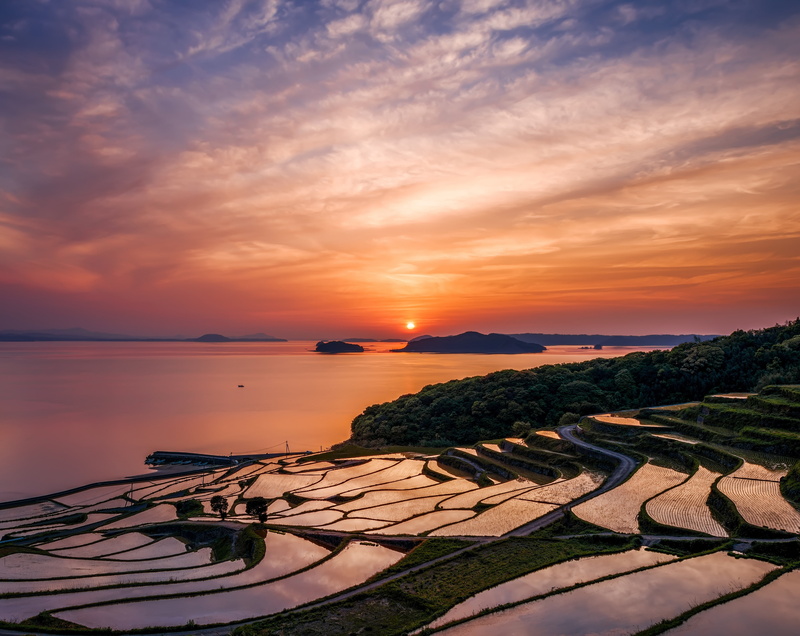 Boats, tranquility, Saga, tanada, land, Water, green, nature, Rice, no people, scenics - nature, Japan, nagasaki, orange color, kyushu, nagasakiprefecture