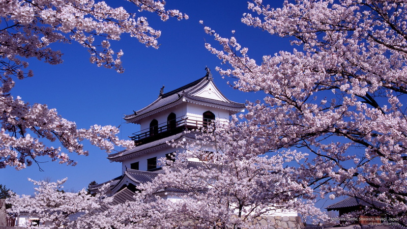castle, japan, 2K, miyagi, Asia, shiroishi
