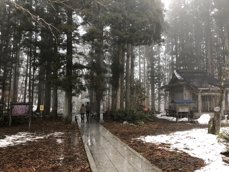 #waterfall, #rain, #iphone, #forest, #trees, architecture, trunk, tree, no people, #walking, day, woodland, #spring, land, snowing, cold temperature, built structure