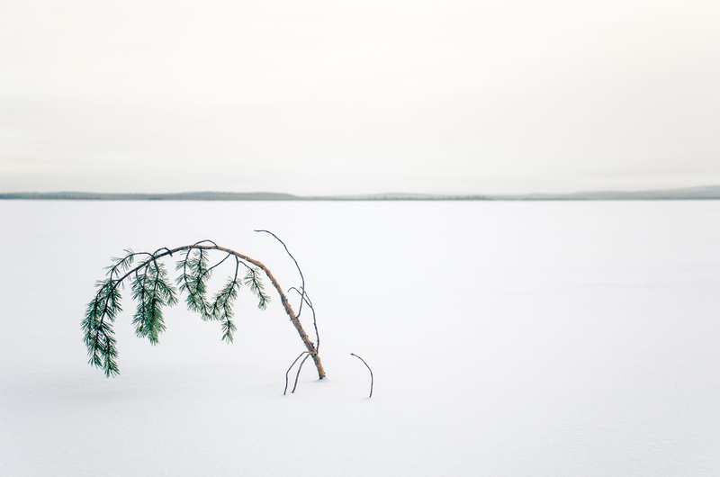 ice, 4K, grey, sea, tree, ocean, horizon, beauty in nature, nature, middle, outdoors, landscape, sand, tranquil scene, no people, snow, water, panoramic