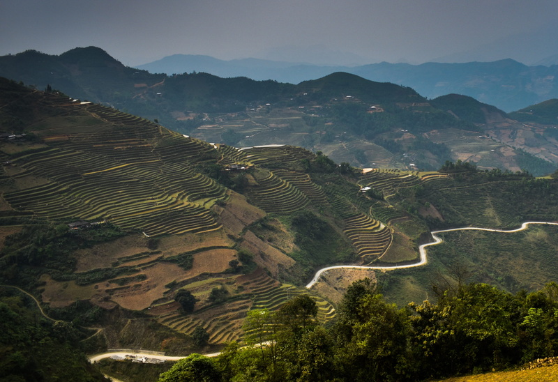 green, agriculture, rice paddies, beauty in nature, local, high angle view, mountain, travel, non-urban scene, northern circuit, idyllic, vietnam, rice