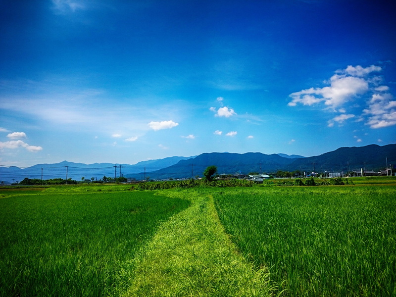 cloud - sky, 2K, grass, tanaka, beauty in nature, sky, mountain range, japan, tranquil scene, growth, tranquility, field, outdoors, plantation