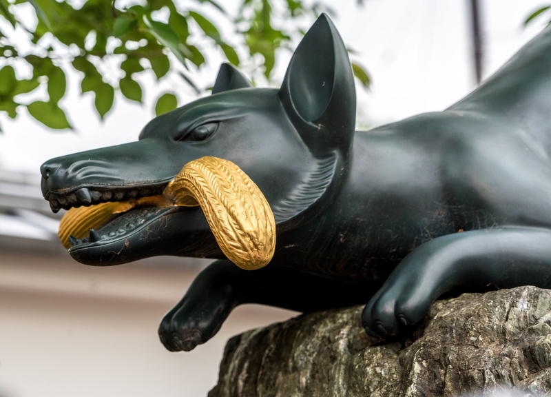 sea life, Dog, figure, animal body part, creativity, Animal, animal head, 5K, animals in the wild, one animal, underwater, Sculpture, representation, art and craft