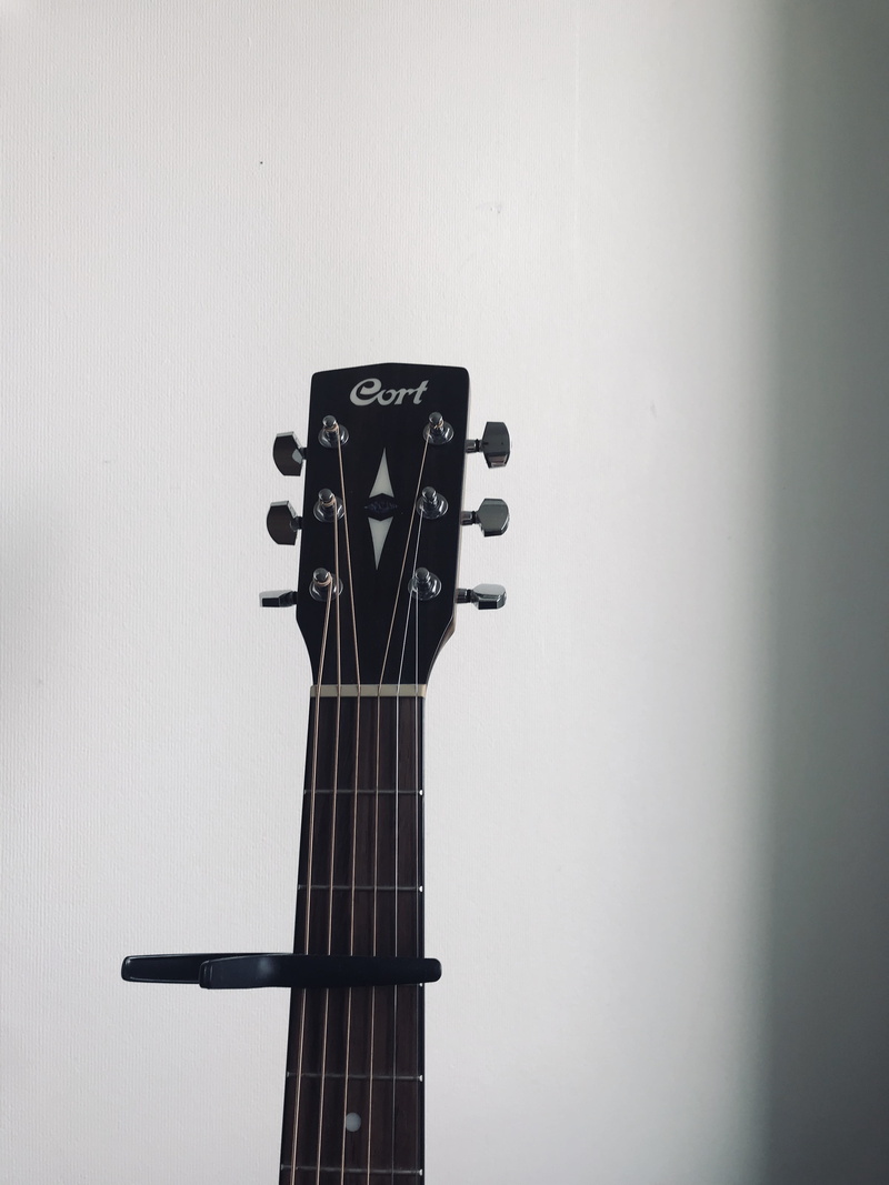 music, leisure activities, wall - building feature, white background, musical equipment, creativity, fretboard, bass guitar, no people, string instrument