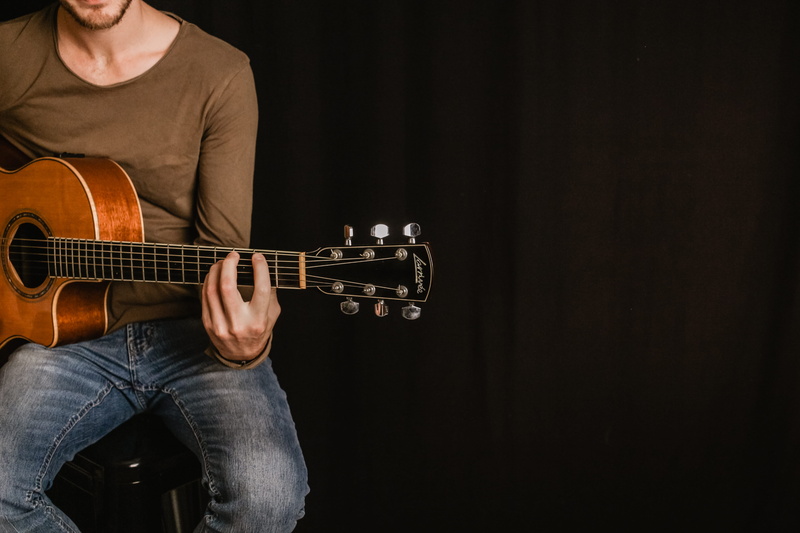 back, string instrument, person, plucking an instrument, performer, female, musician, girl, young adult, musical equipment, one person, finger, front view