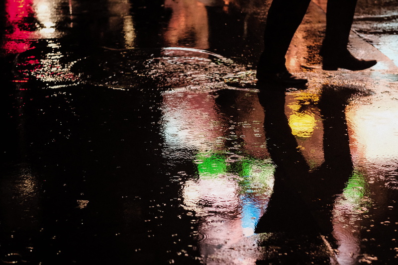 flower, human body part, pond lily, outdoors, person, reflection, wet, real people, street, ripple, human, lily, water, day, body part, transportation