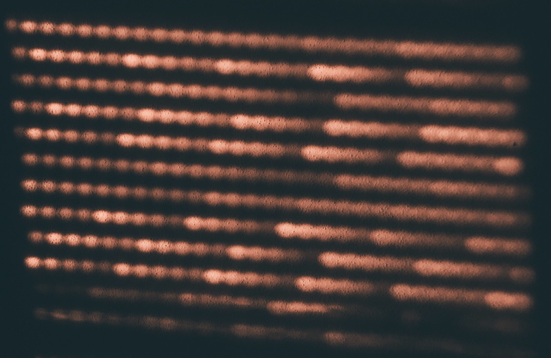window shade, nature, night, abstract, dark, rug, stage, curtain, pattern, finch, focus on shadow, texture, textured, bird, shadow, orange color, text