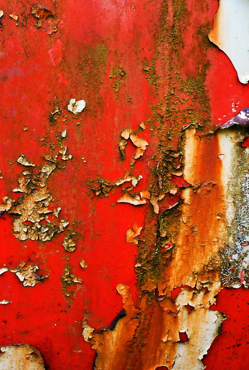 brake, peeling off, lock, close-up, alcohol, outdoors, animal, old, backgrounds, wall - building feature, full frame, wall, liquor, rust, label, drink