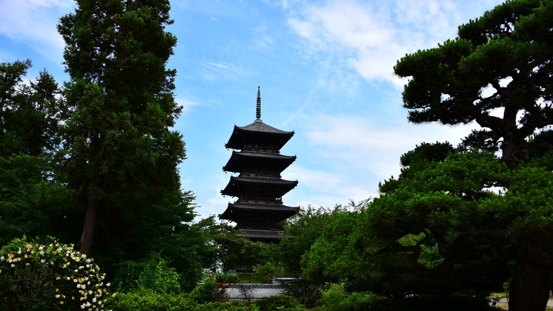 built structure, natural, building exterior, cloud - sky, building, shrine, day, five story pagoda, outdoors, green color, religion, plant, place of worship
