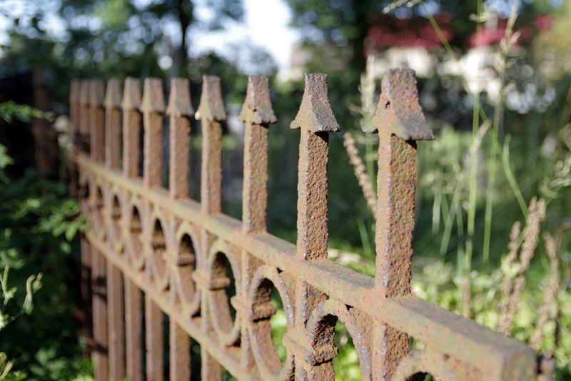 the fence, protection, 4K, model, dashing, trellis, tree, cemetery, safety, barrier, gate, fencing, nature, focus on foreground, iron - metal, gateway
