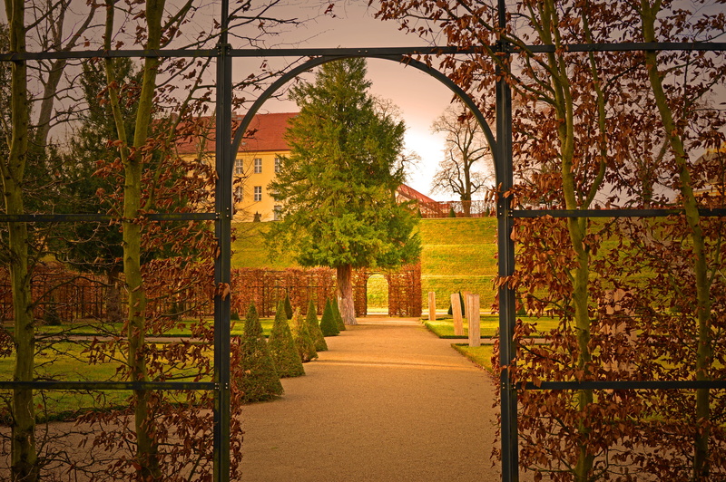5K, tranquility, tranquil scene, nature, outdoors, park - man made space, tree, entry, fall foliage, idyll, footpath, park, direction, the way forward