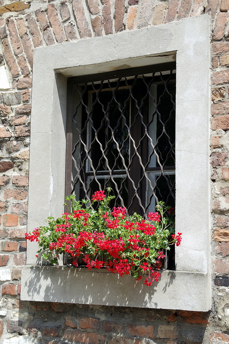 wall - building feature, fragility, lake dusia, flower pot, window, flowering plant, plant, day, old, safety, outdoors, kamienica, red, flowers, flower
